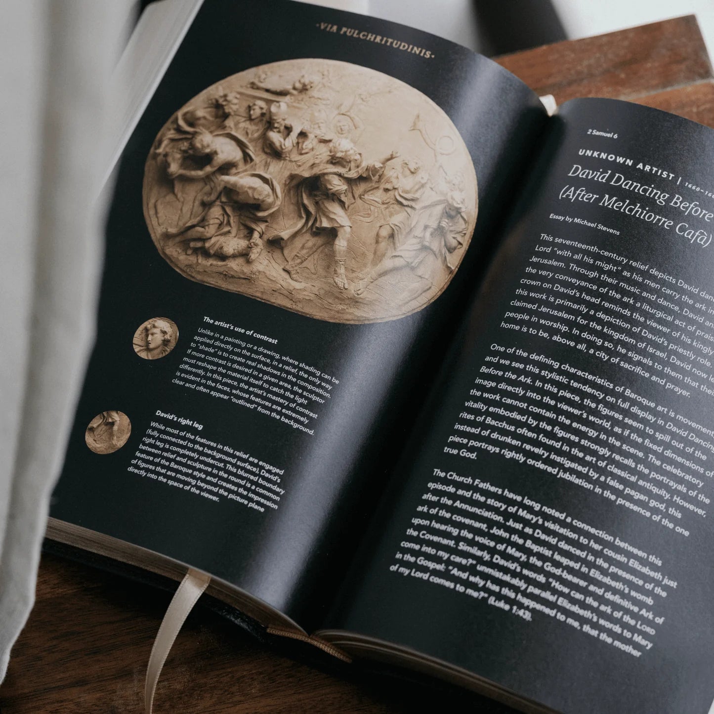 The Word on Fire Bible (Volume IV): The Promised Land