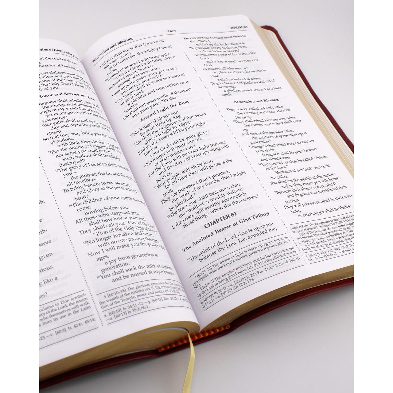 NABRE Holy Bible Red