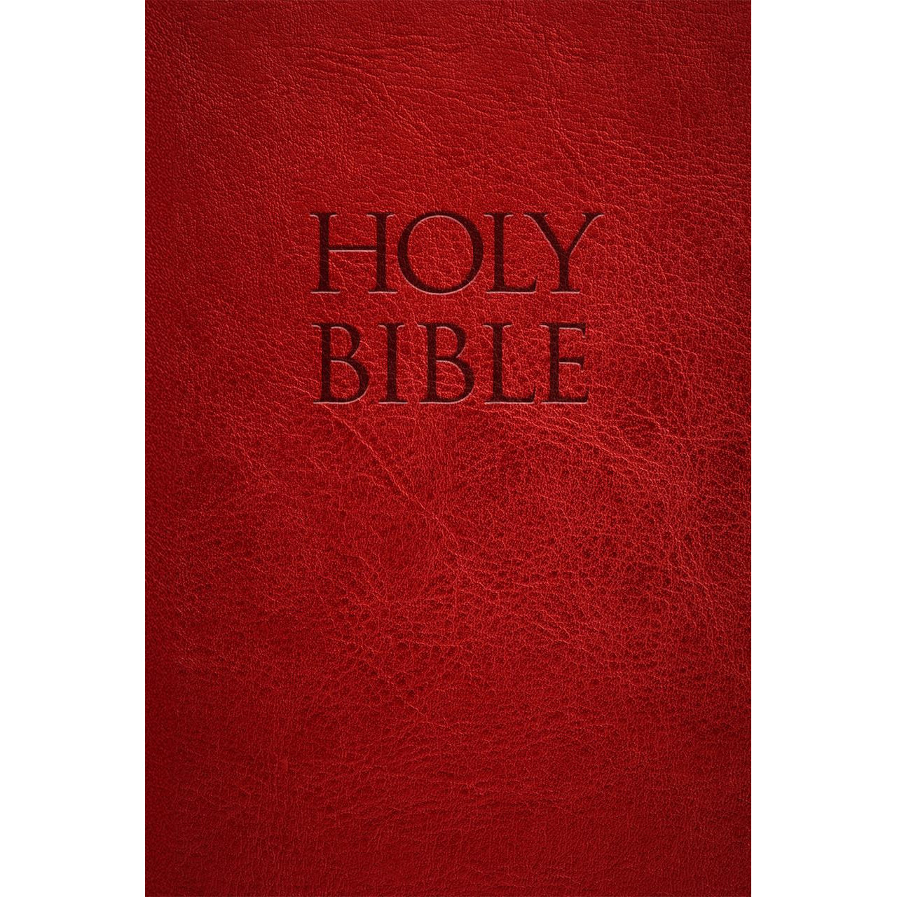 NABRE Holy Bible Red