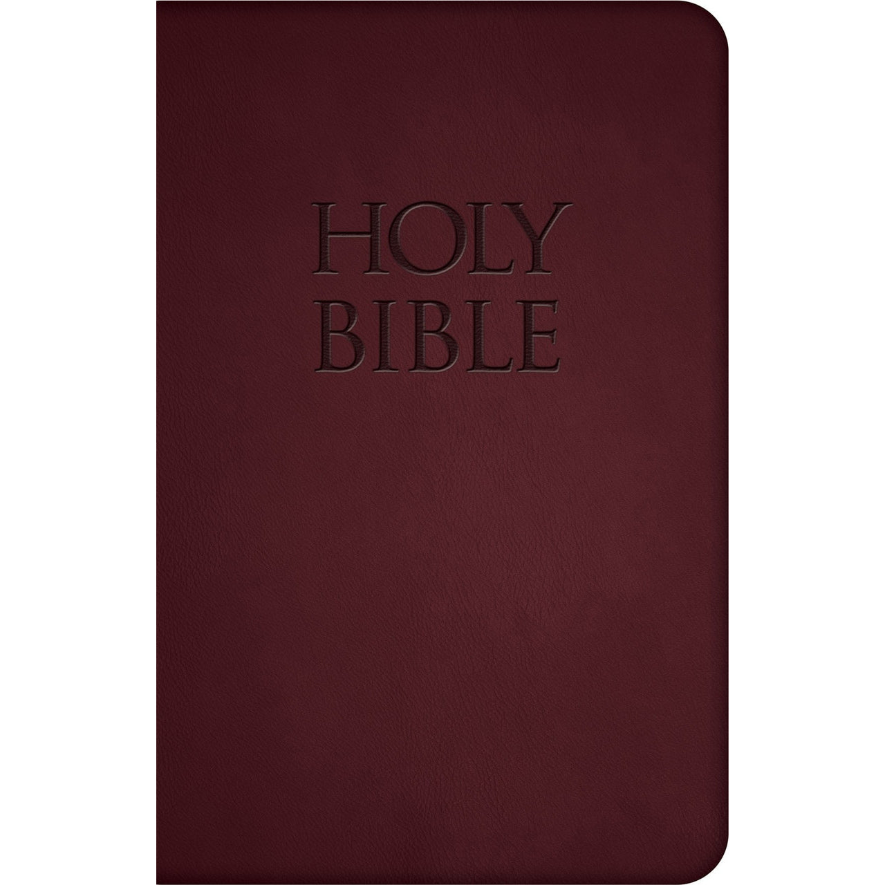 NABRE - New American Bible Revised Edition (Burgundy Deluxe Leatherette)