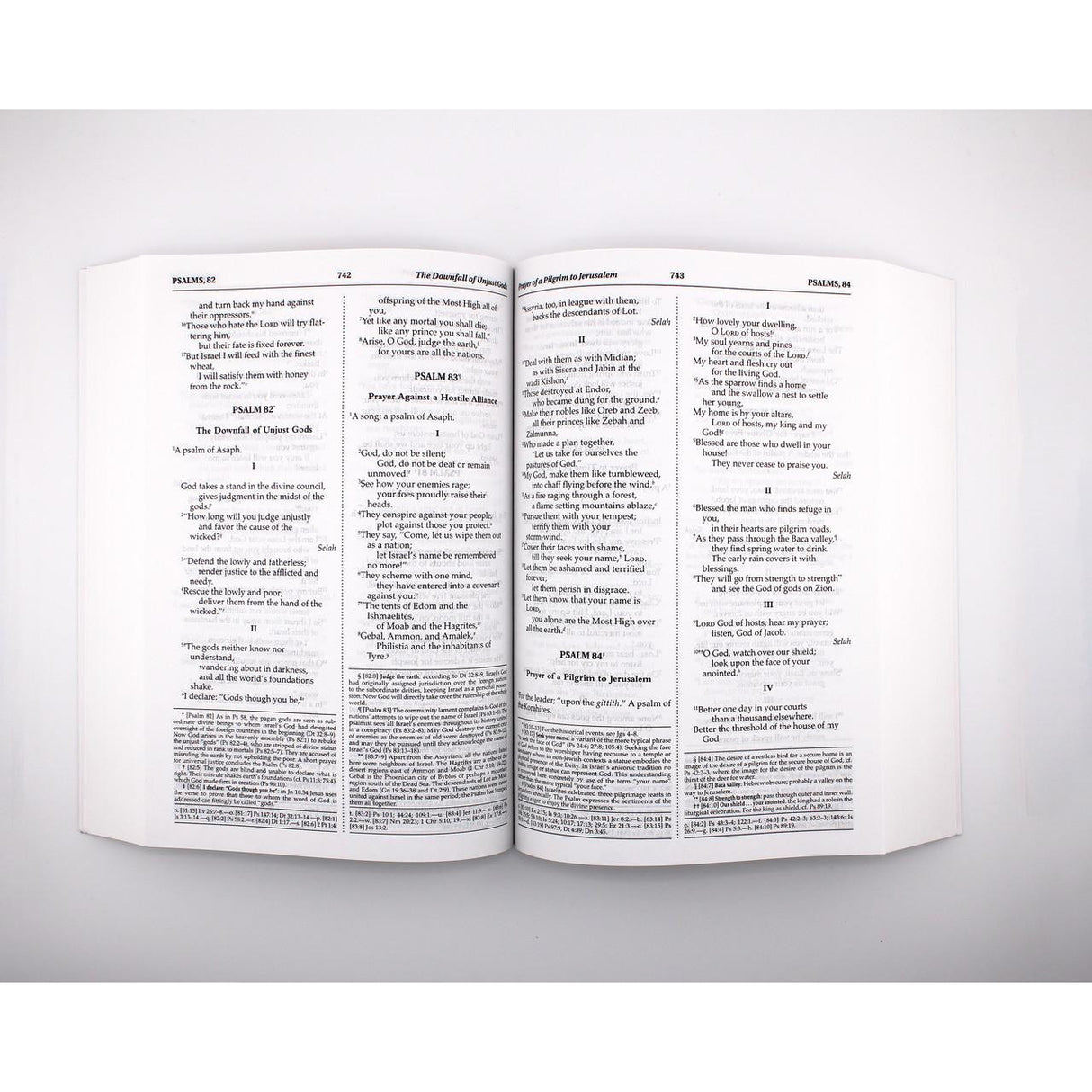 NABRE - New American Bible Revised Edition