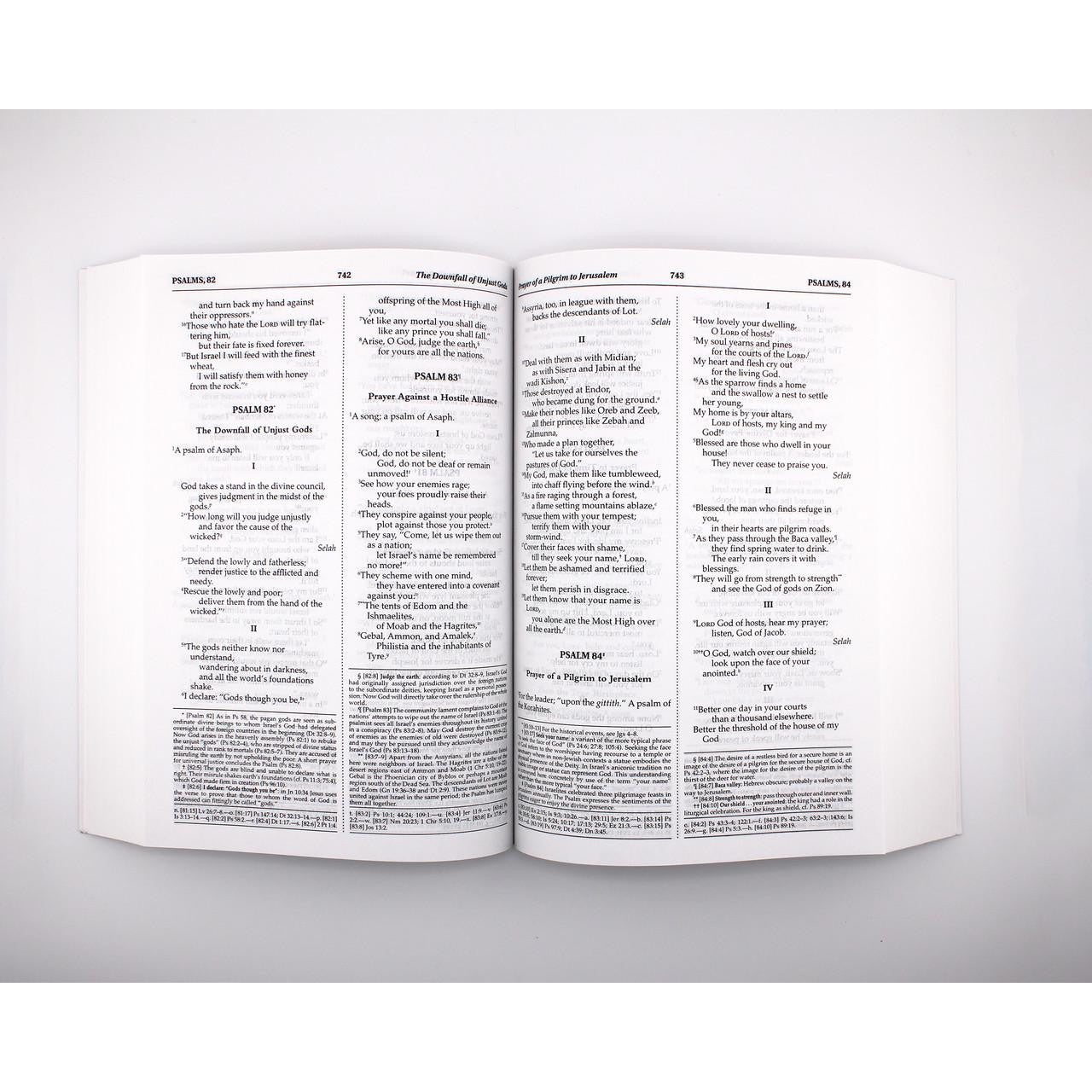 NABRE - New American Bible Revised Edition