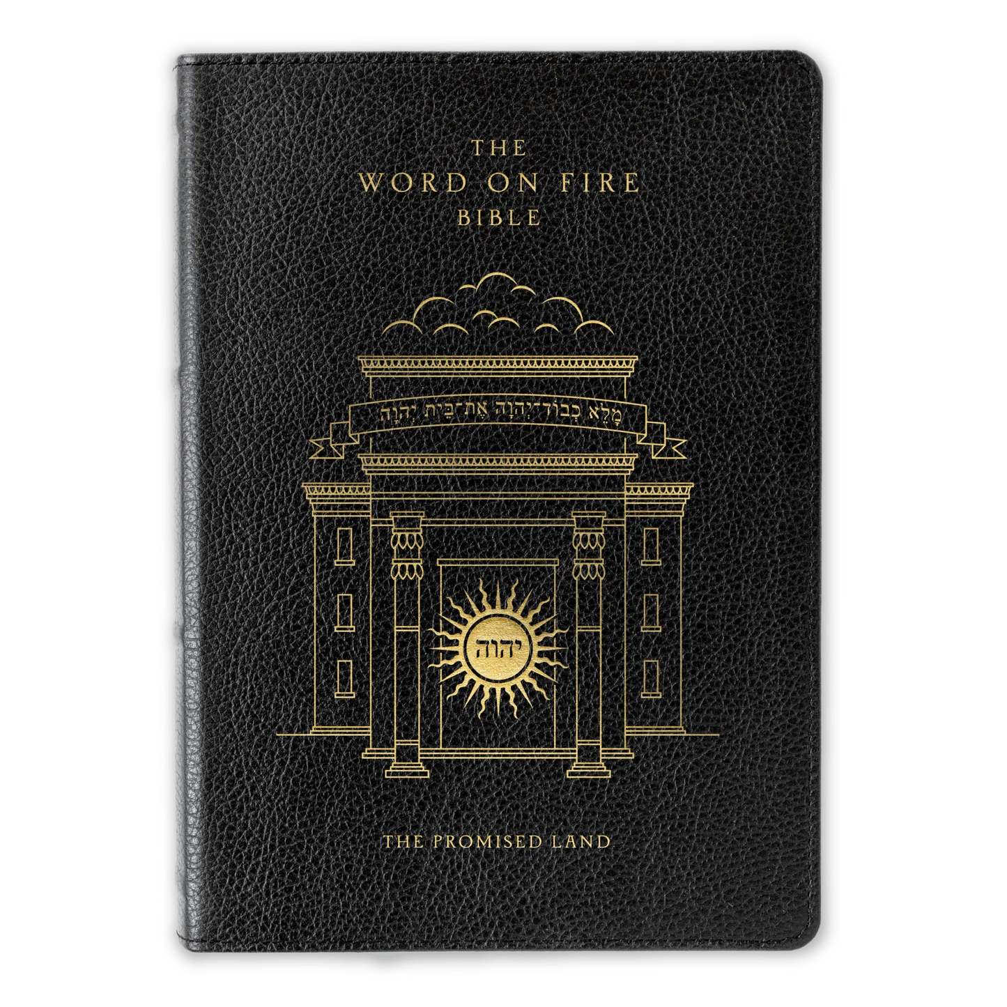The Word on Fire Bible (Volume IV): The Promised Land