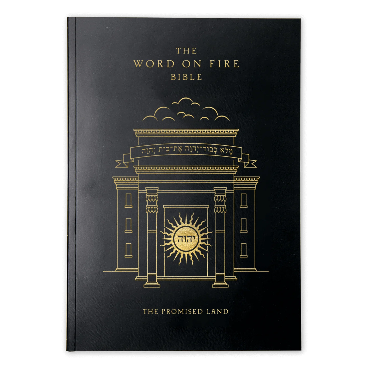 The Word on Fire Bible (Volume IV): The Promised Land