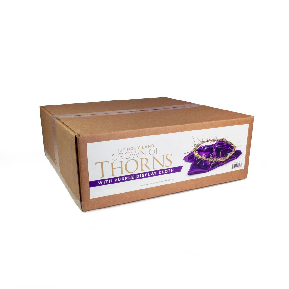 Crown of Thorns 13"