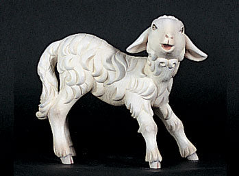 lamb-for-kostner-nativity-1902-16.jpg