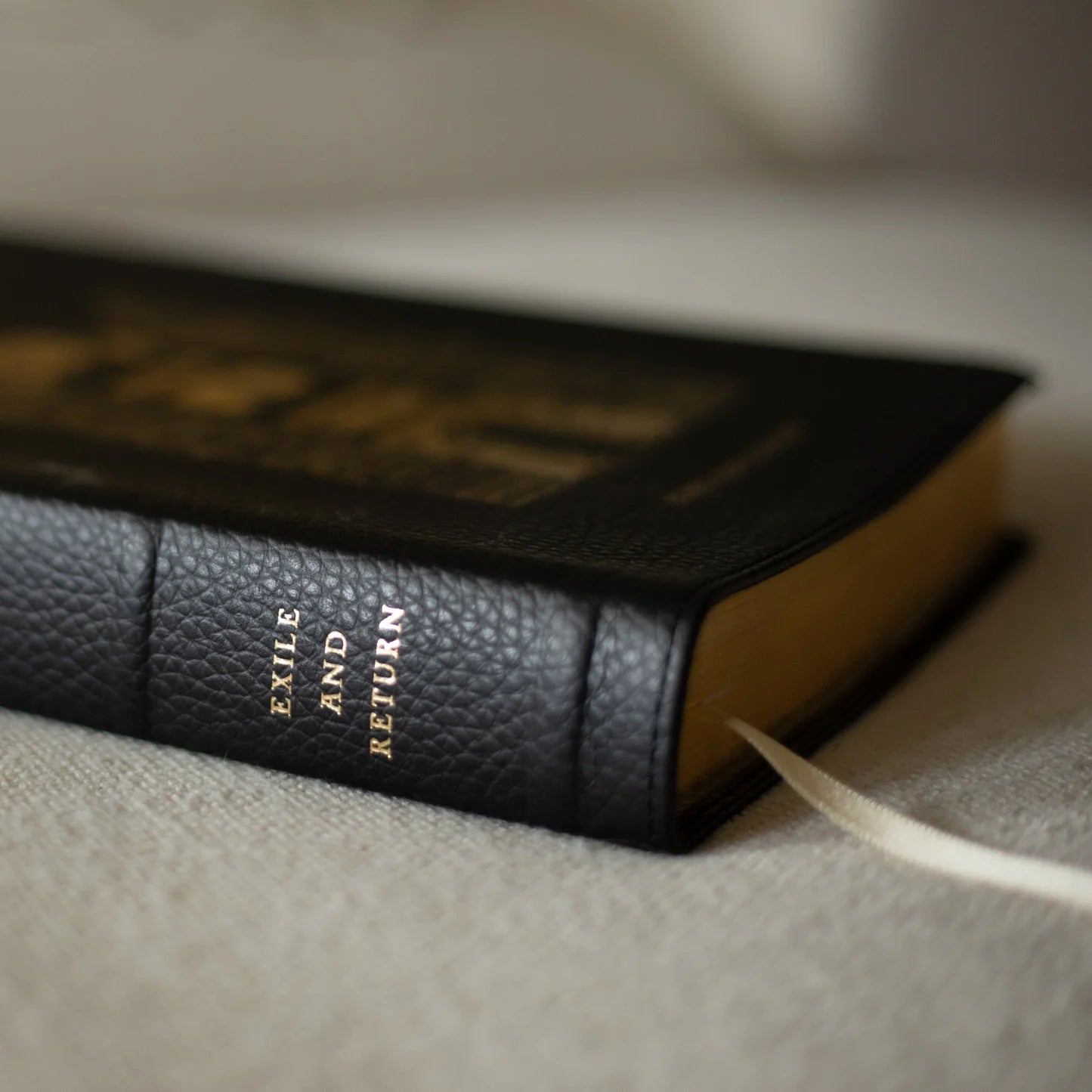 The Word on Fire Bible (Volume V): Exile and Return