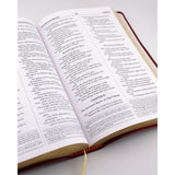 NABRE Holy Bible Red