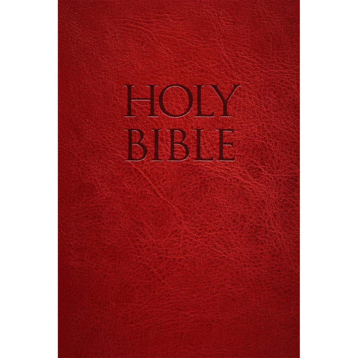 NABRE Holy Bible Red