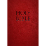 NABRE Holy Bible Red