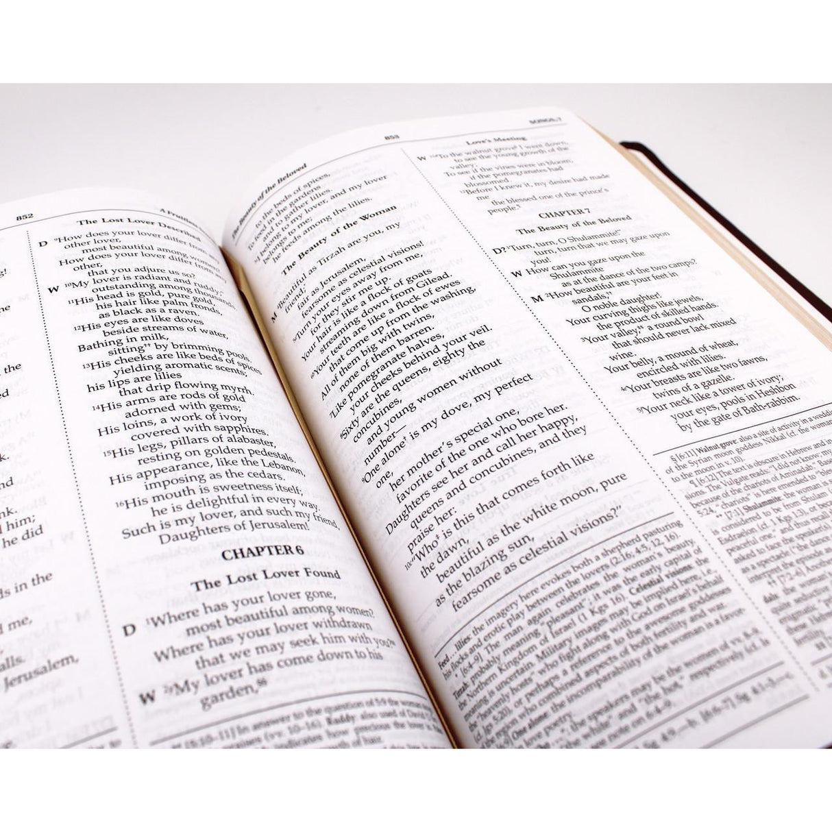 NABRE - New American Bible Revised Edition (Burgundy Deluxe Leatherette)