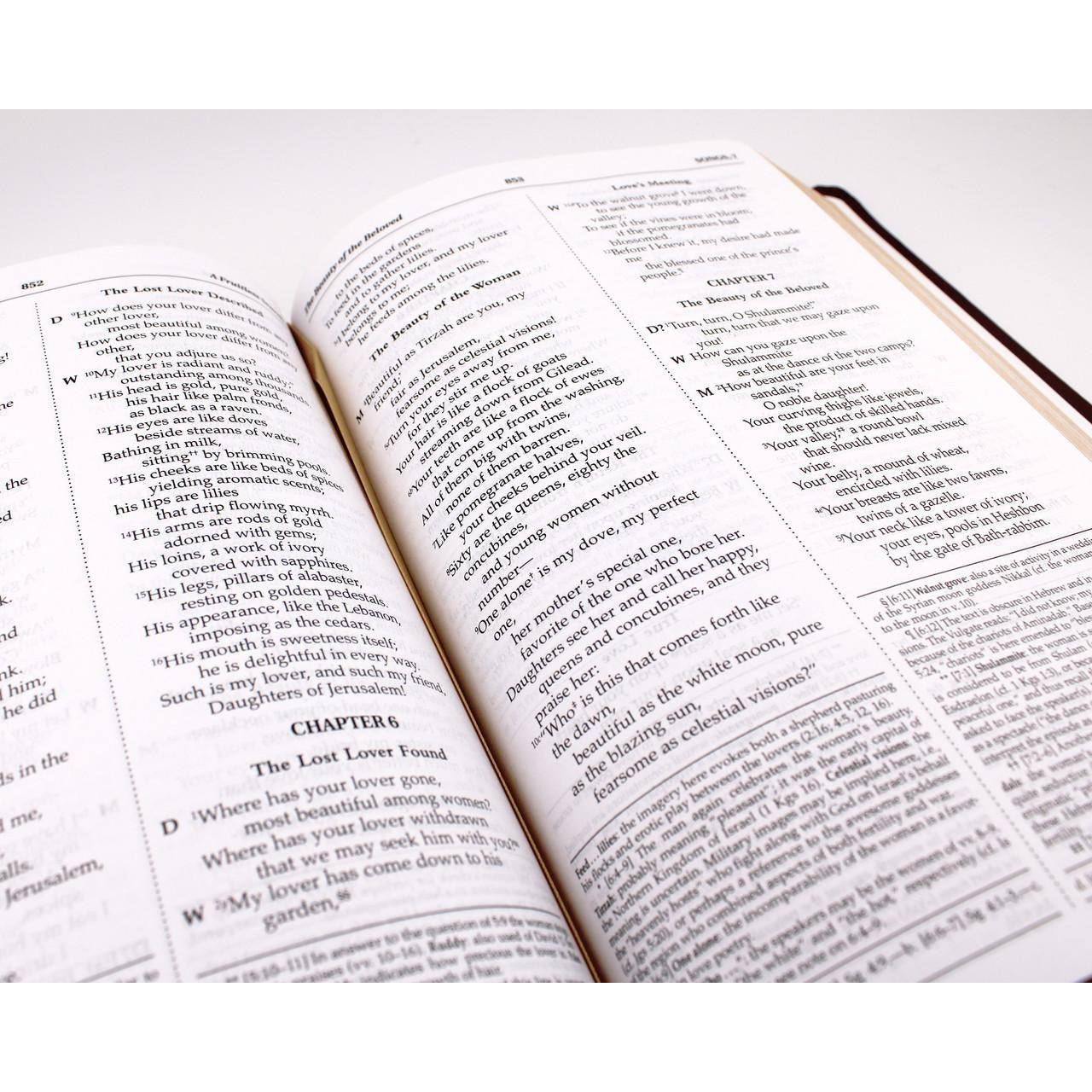 NABRE - New American Bible Revised Edition (Burgundy Deluxe Leatherette)