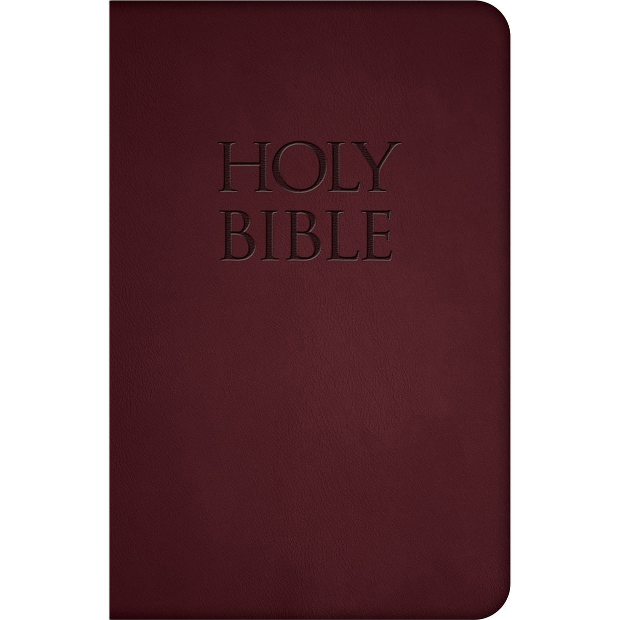 NABRE - New American Bible Revised Edition (Burgundy Deluxe Leatherette)