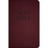 NABRE - New American Bible Revised Edition (Burgundy Deluxe Leatherette)