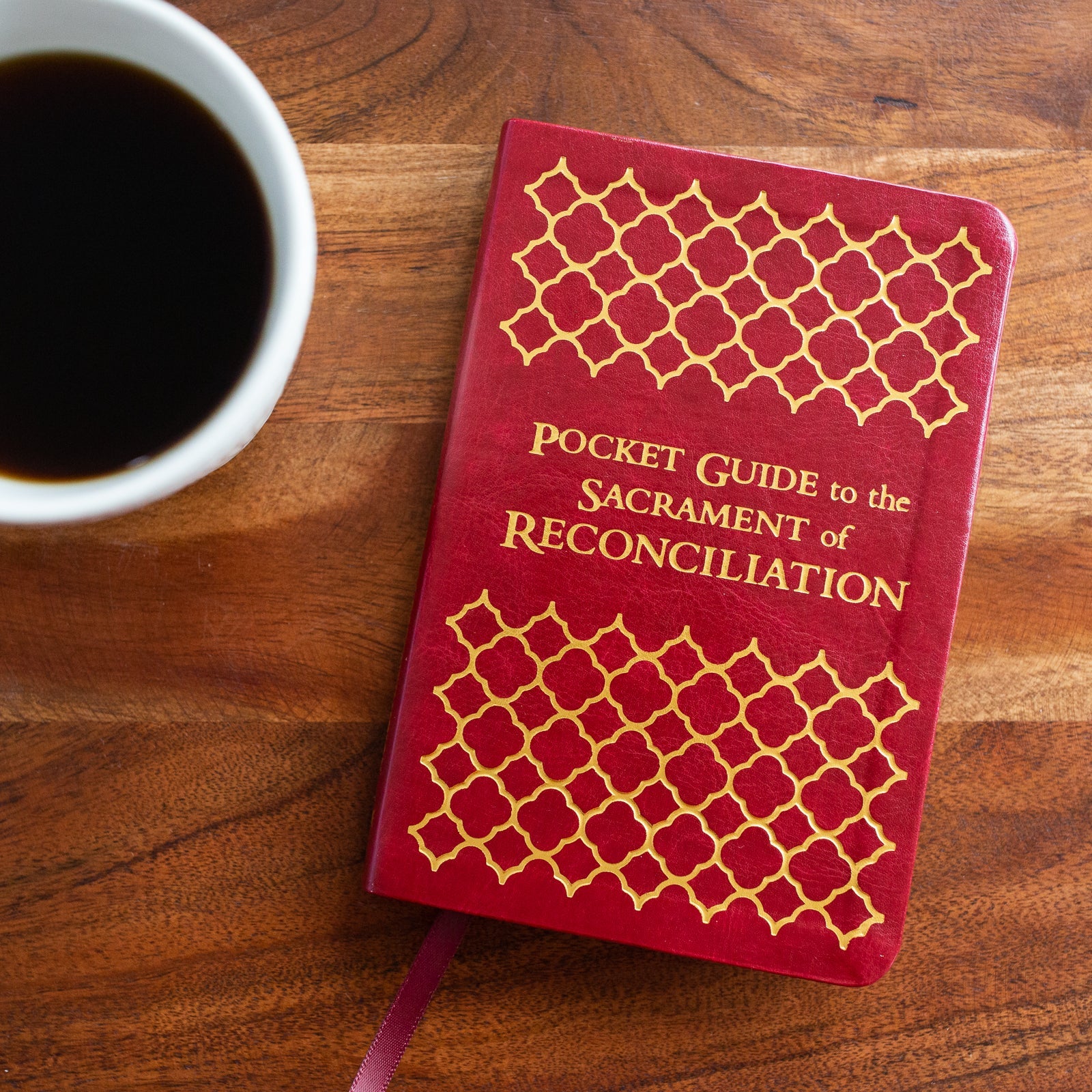 Pocket Guide to the Sacrament of Reconciliation by Fr. Mike Schmitz and Fr. Josh Johnson