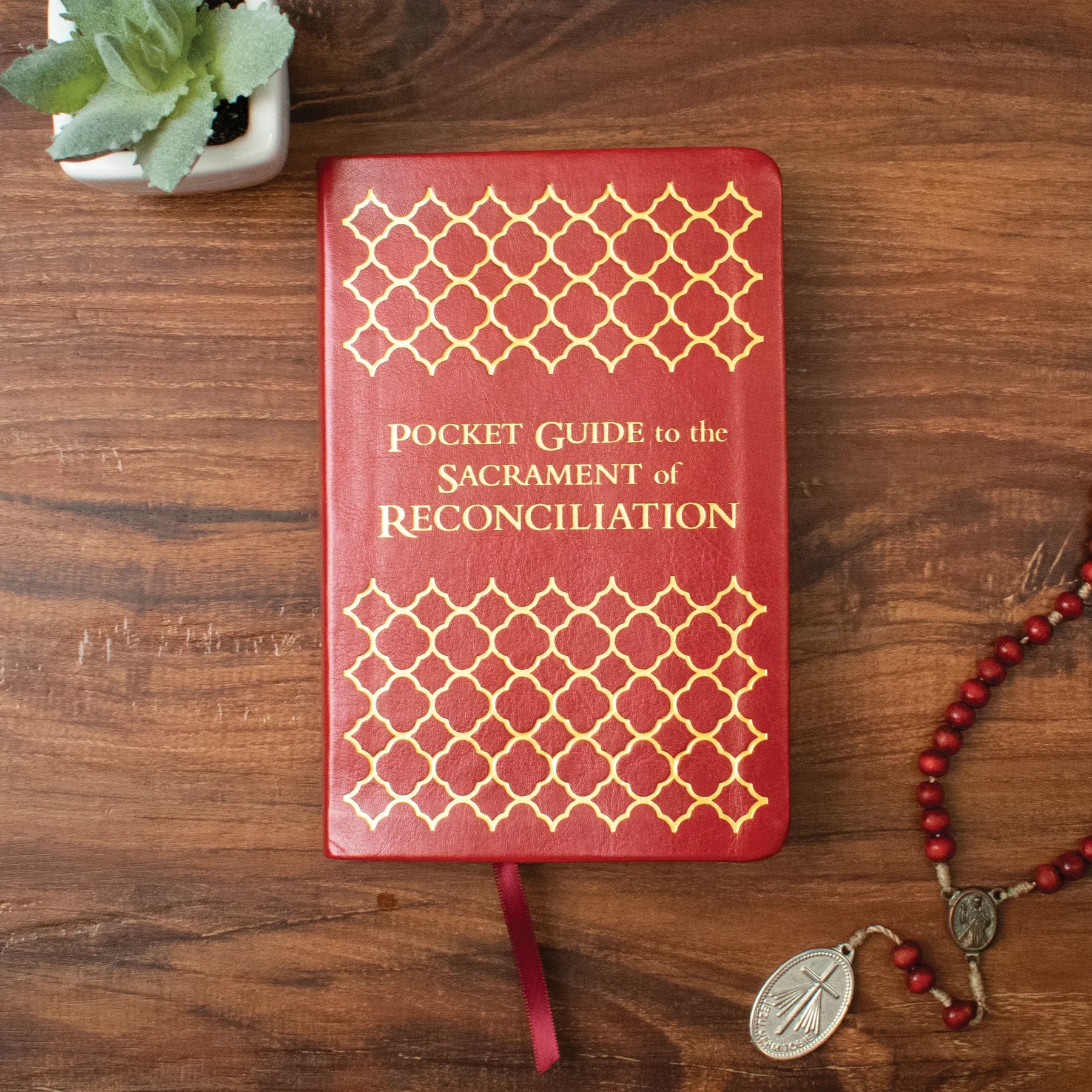 Pocket Guide to the Sacrament of Reconciliation by Fr. Mike Schmitz and Fr. Josh Johnson