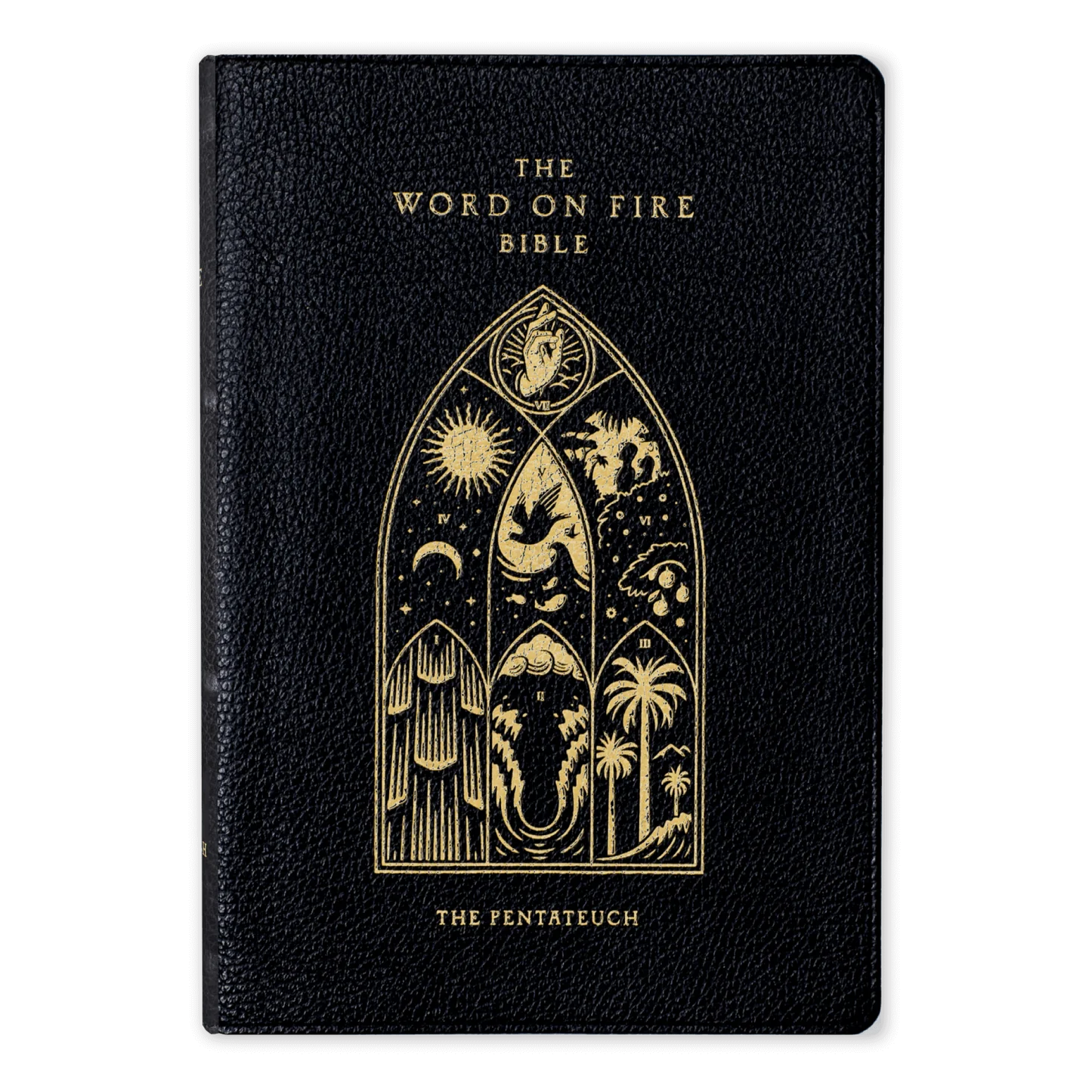 The Word on Fire Bible (Volume III): The Pentateuch