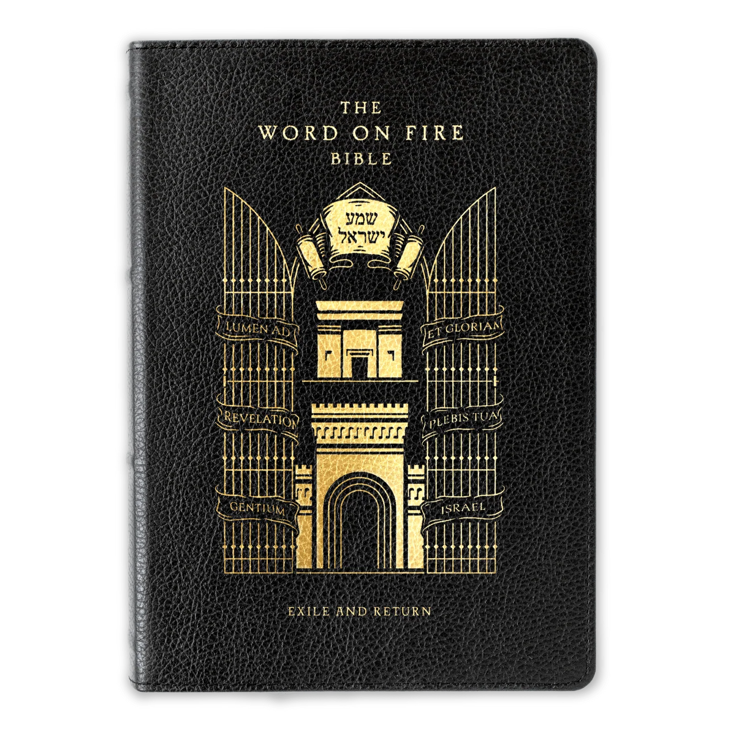 The Word on Fire Bible (Volume V): Exile and Return