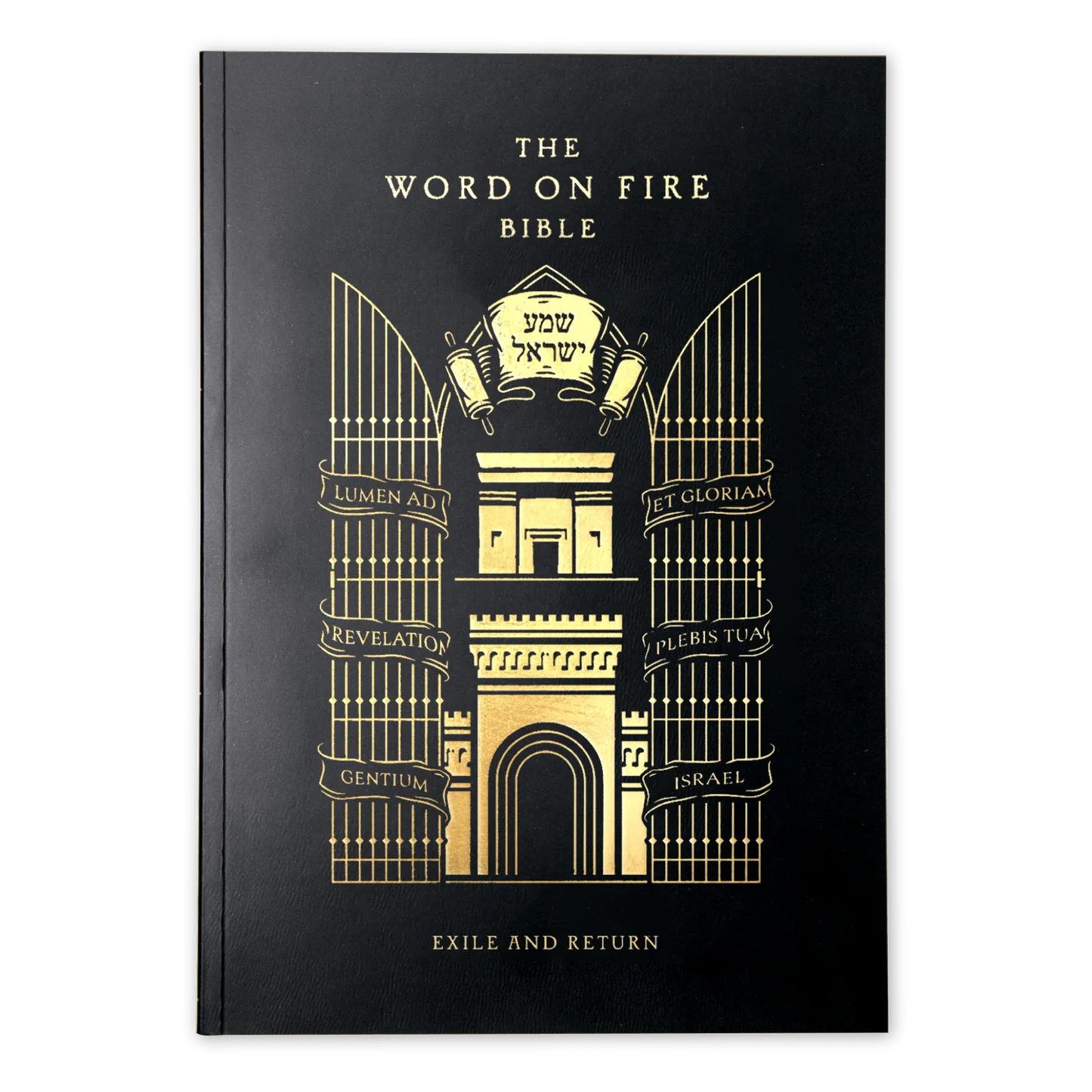 The Word on Fire Bible (Volume V): Exile and Return