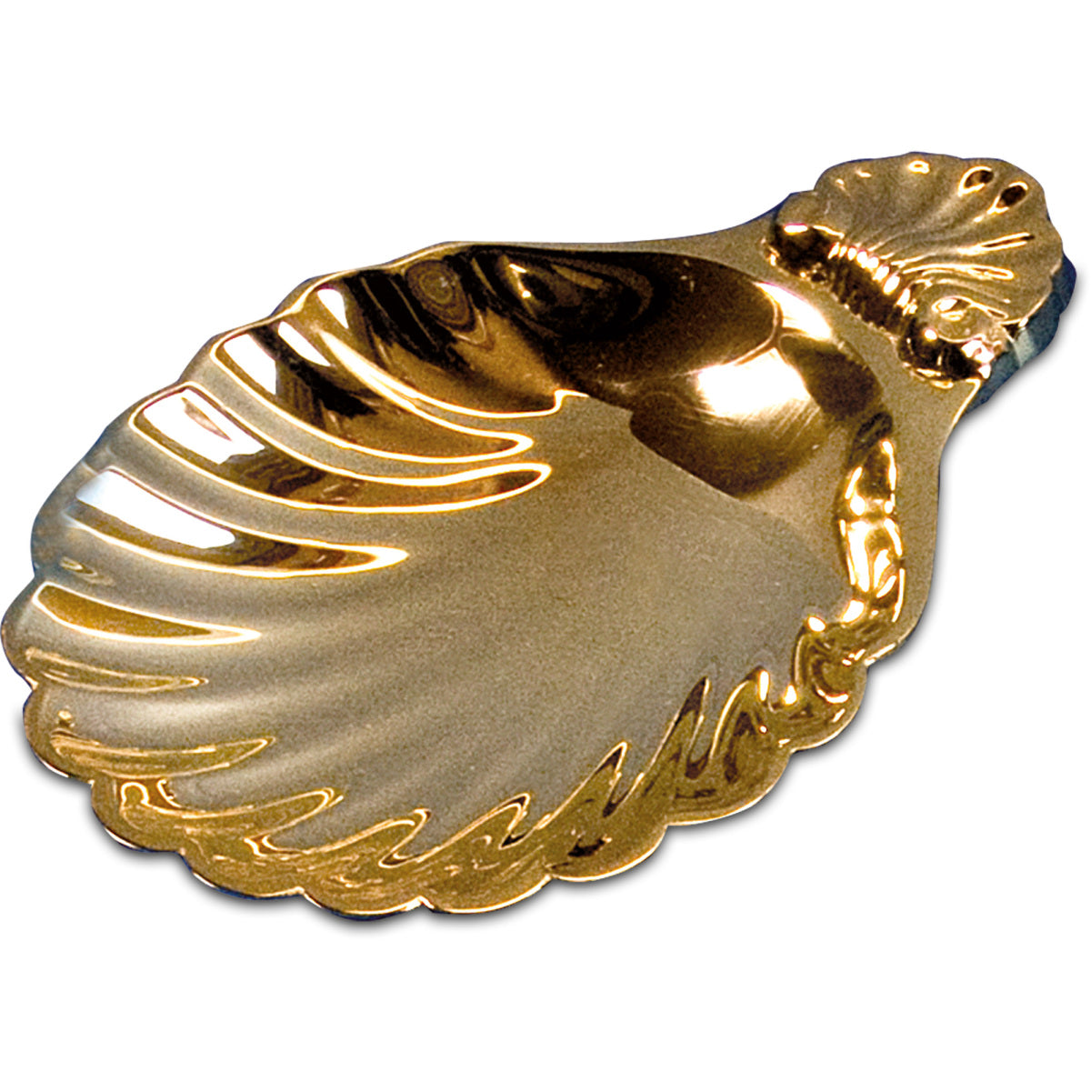 Baptism Shell