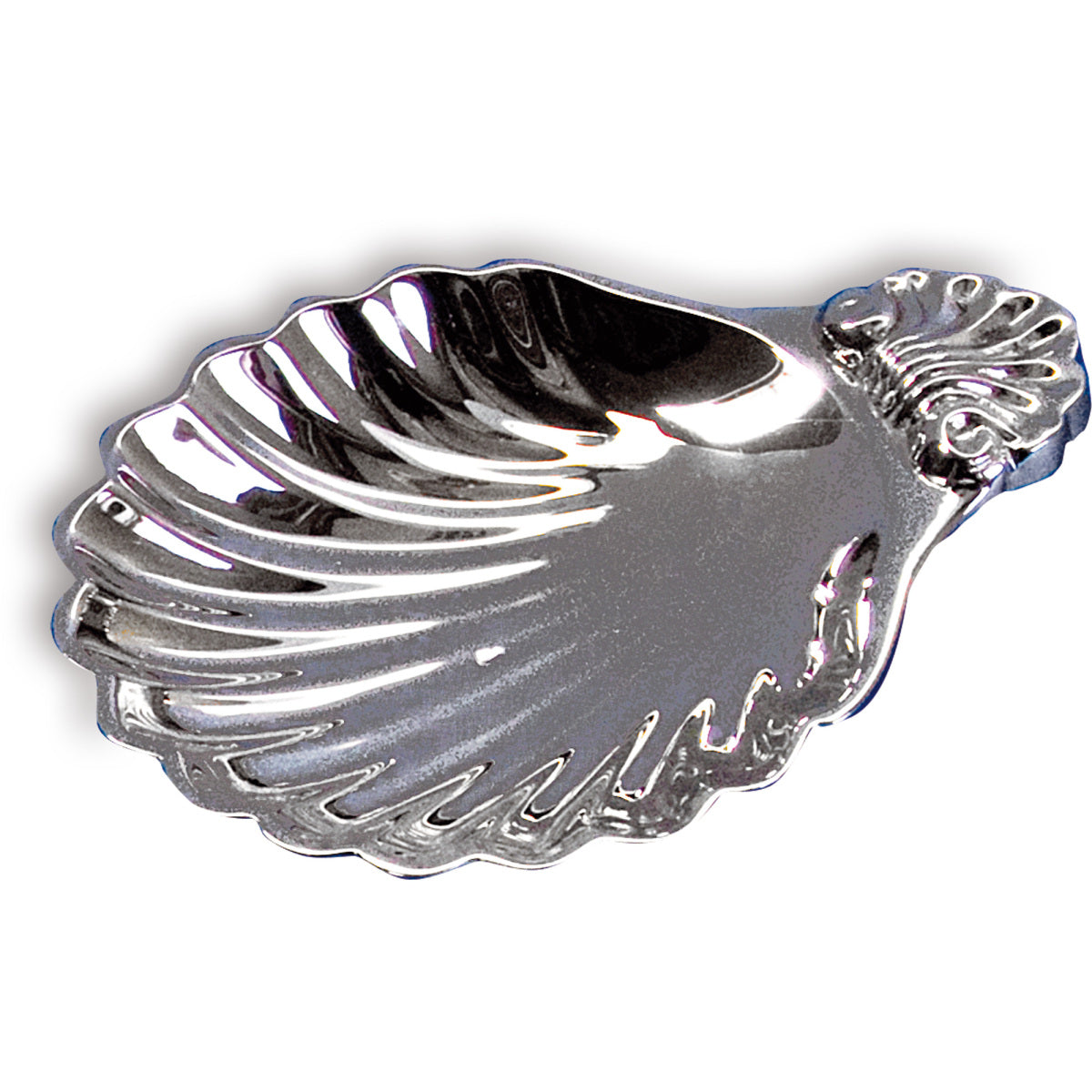Baptism Shell