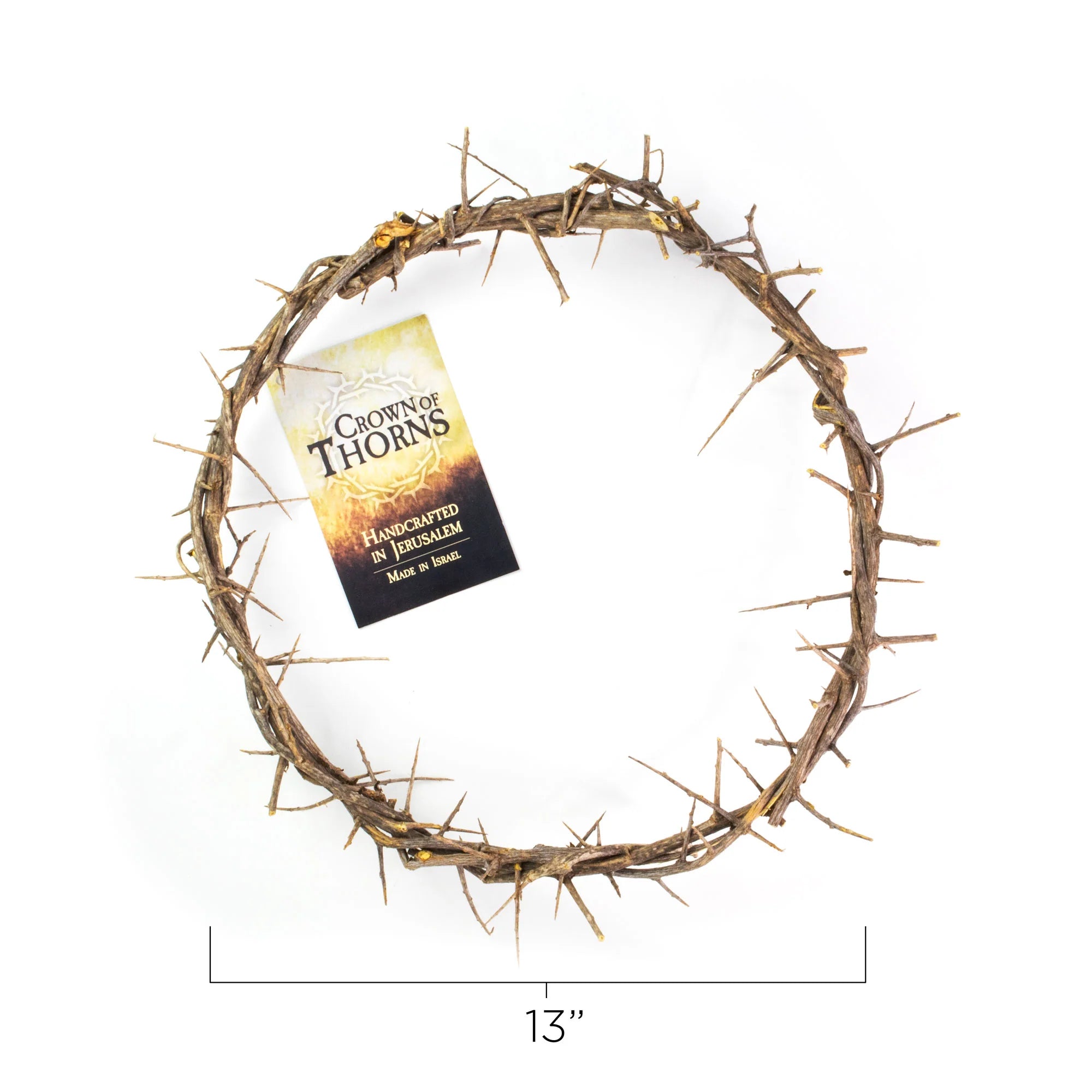 Crown of Thorns 13"