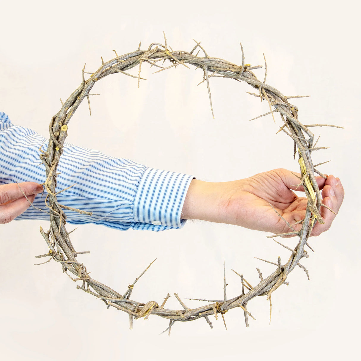 Crown of Thorns 13"