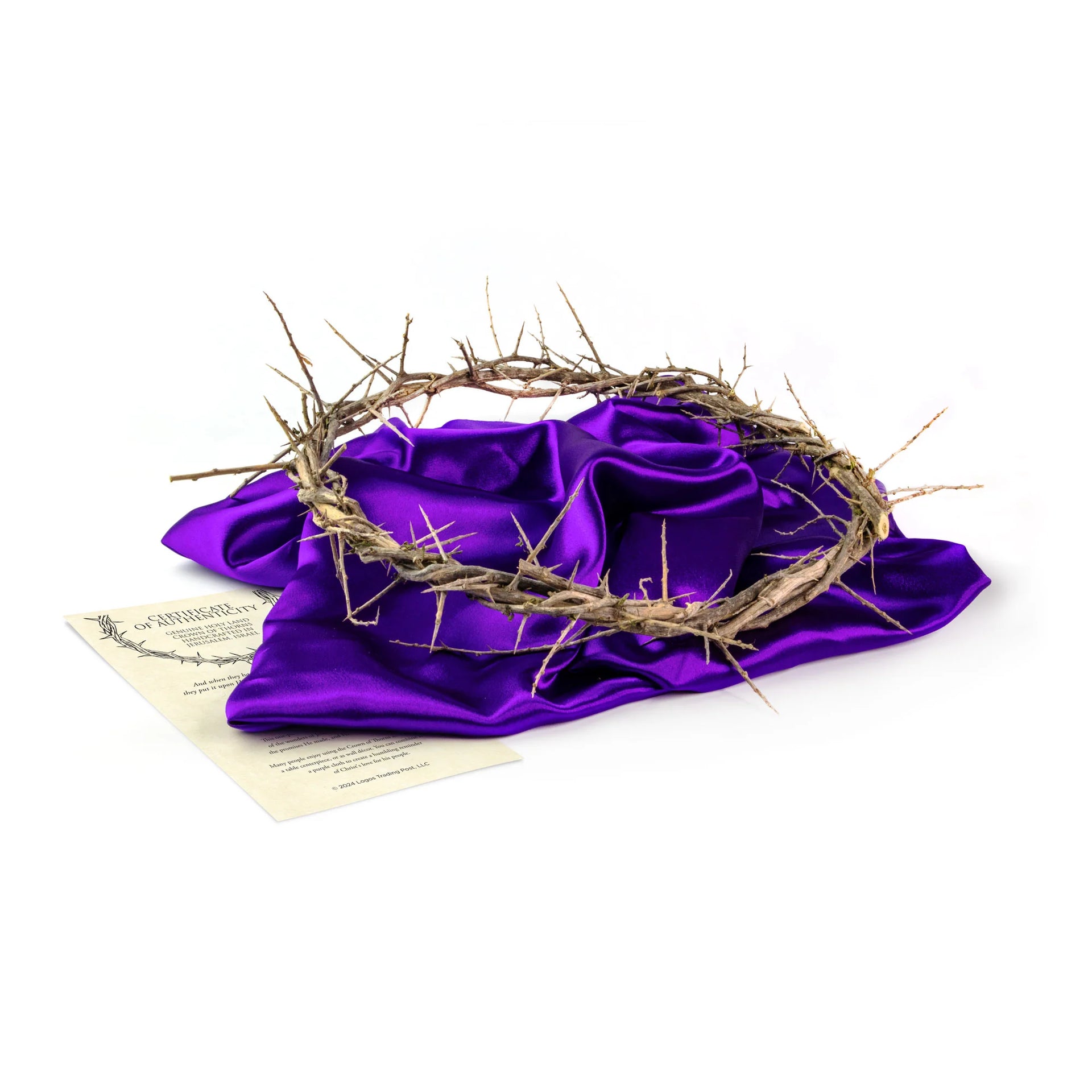 Crown of Thorns 13