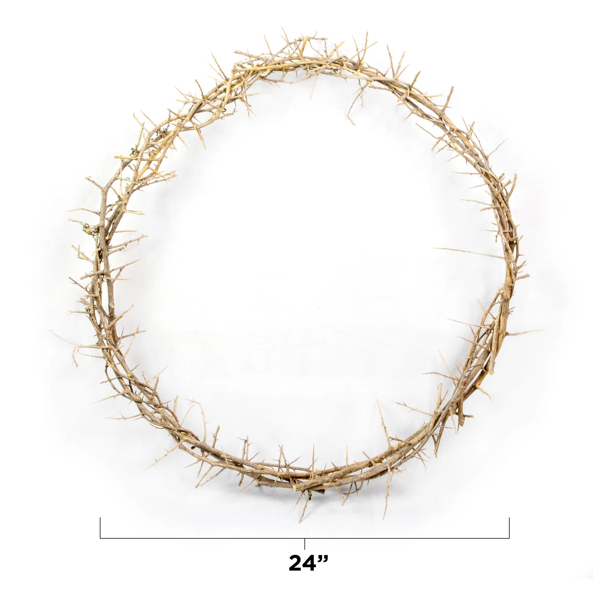 Crown of Thorns 24"
