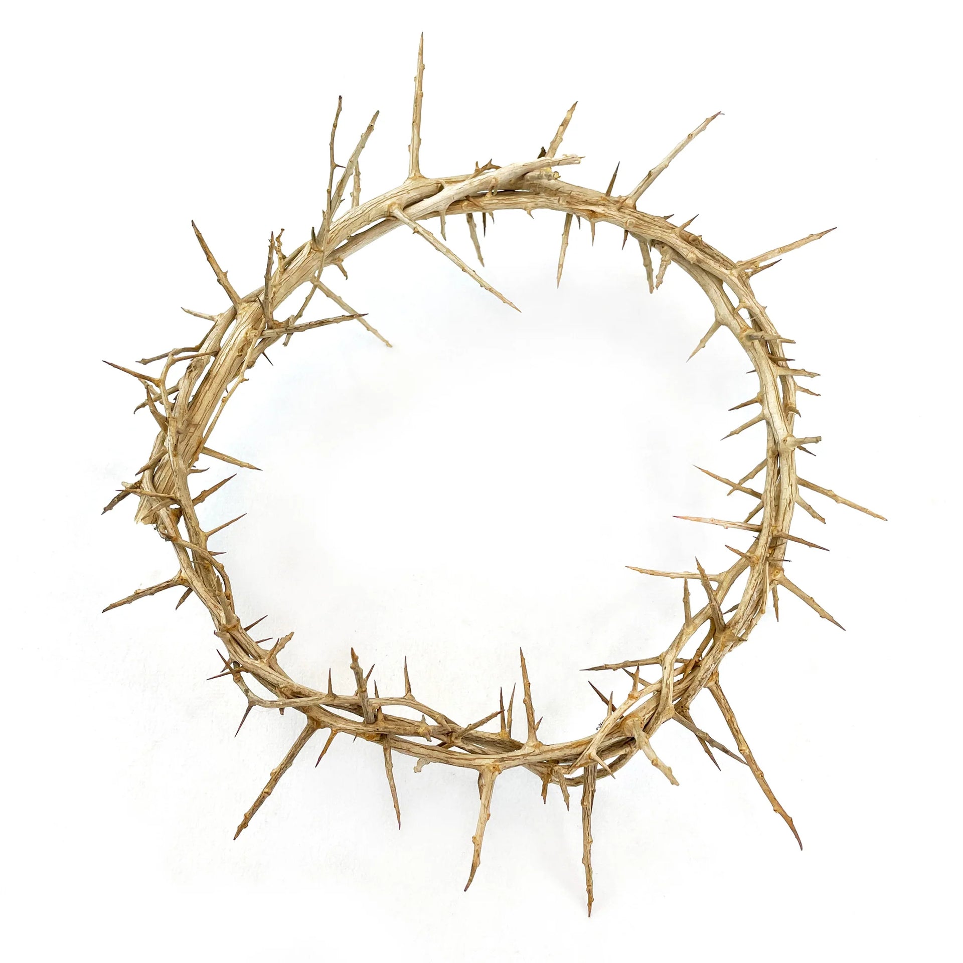Crown of Thorns 9