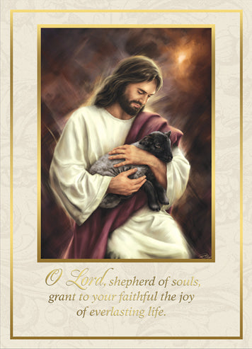 Mass Card for the Deceased - Jesus our Shepherd - box of 50 ME-603