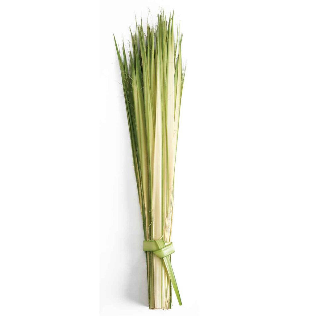 Palm Sunday Palm Strips Long bag of 100