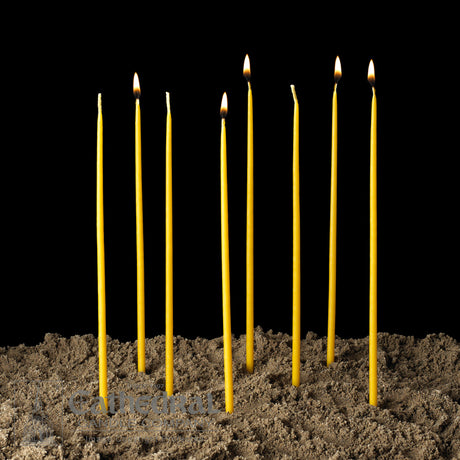81022110.jpg