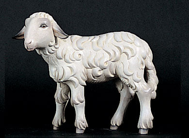 lamb-for-kostner-nativity-1902-17.jpg