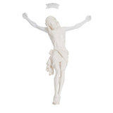 Fiberglass Corpus | Siena
