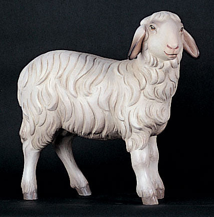 sheep-for-demetz-nativity-1950-13.jpg