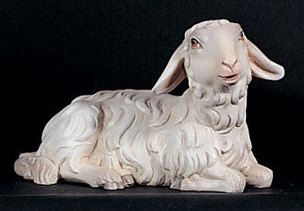 sheep-for-kostner-nativity-1902-14.jpg