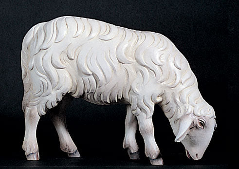 sheep-for-kostner-nativity-1902-15.jpg